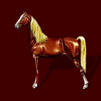 horse