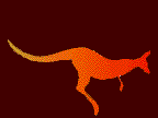 kangaroo